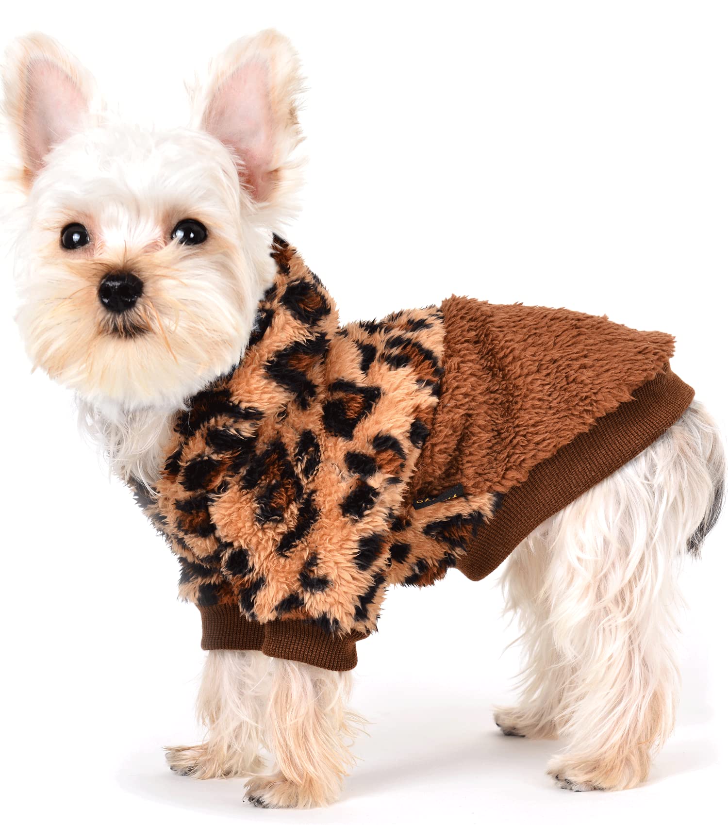 pet sweater